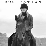 Equitation et portraits chevaux