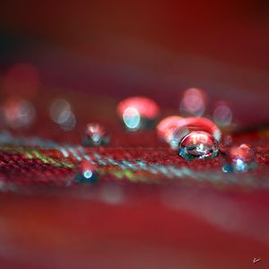 Perles