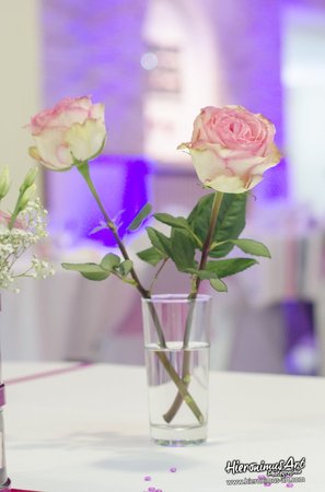 Photographe mariage à Pont-Calleck dans le Morbihan