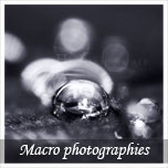 MACRO ELEMENTS